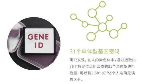 華大基因安馨可基因檢測(cè)系列產(chǎn)品全新上市，開啟精準(zhǔn)健康管理新時(shí)代