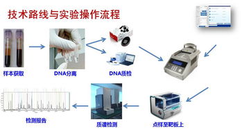 淺談腫瘤基因檢測 精準醫(yī)療時代的核心鑰匙