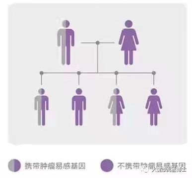 健康托付，關(guān)愛彼此 腫瘤基因檢測在療養(yǎng)院中的守護與溫度